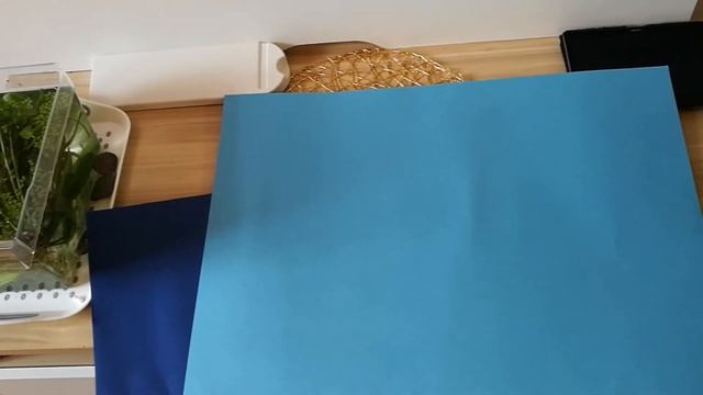 Задний фон для аквариума (бюджетный), что может быть проще? смотреть онлайн