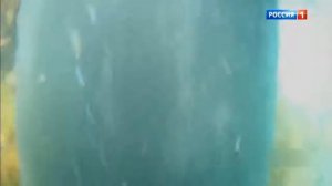 Аркадий Мамонтов Пальмовые берега (молочная промышленность, как она есть)