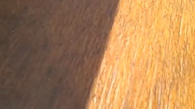 Корпус КРИСТИ США ТЕХАС смотреть онлайн