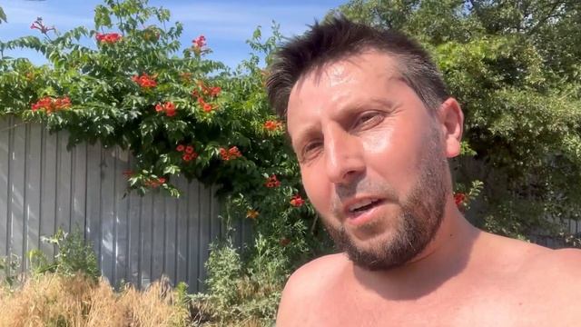 Дела идут будет бассейн ! смотреть онлайн