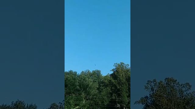 "As the Crow Flies..." смотреть онлайн