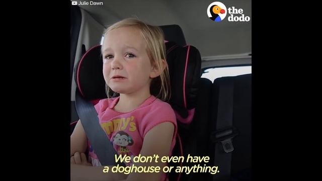 Girls REALLY Want To Adopt This Puppy | The Dodo смотреть онлайн