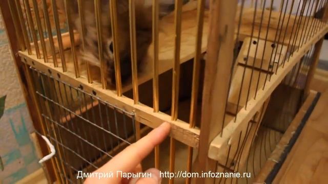 Как сделать клетку для кролика. Двухэтажный пентхаус зайки побегайки. смотреть онлайн
