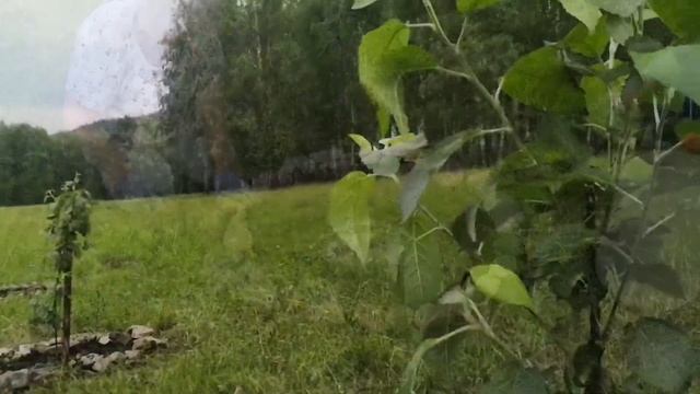 Сплав по реке Ай 22-23 июня 2021 смотреть онлайн