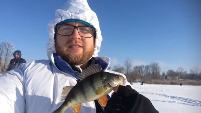 Зимова рибалка на окуня.Плотва на мотиля.День#4. смотреть онлайн