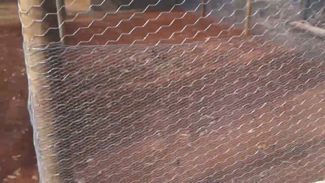 como fazer um galineheiro...galinheiro finalizado passo a passo смотреть онлайн