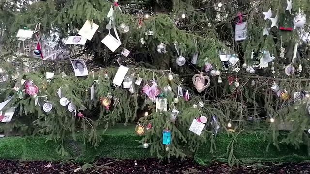 Рождество в Нидерландах. Истории беженцев из Харькова смотреть онлайн