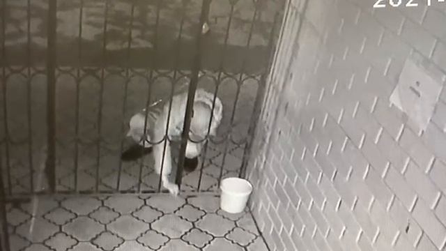 Злоумышленник смотреть онлайн