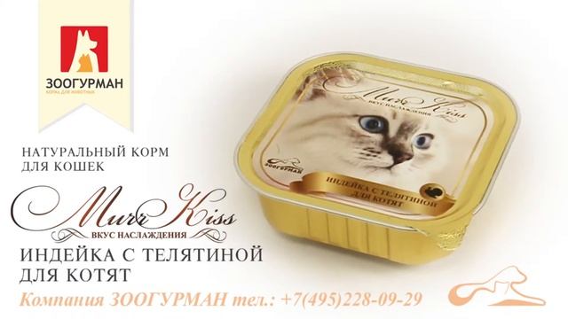 «МуррКисс» Индейка с телятиной для котят, корм от ЗООГУРМАН смотреть онлайн