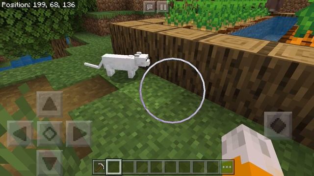 The Cutest Cat Sounds In Minecraft PE In A Village