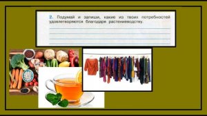 №2 Растениеводство. Окружающий мир 3 класс. Потребности
