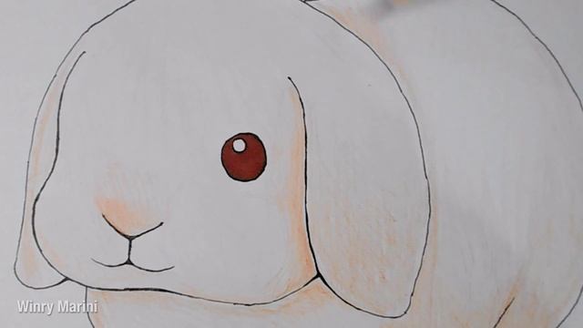 Cute Lop Bunny Drawing & Coloring смотреть онлайн