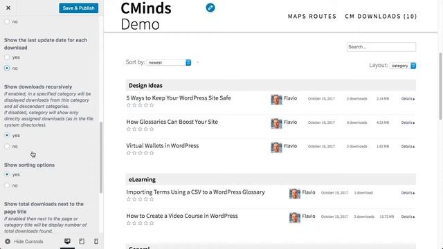 Settings and Appearance of Download Manager | WordPress смотреть онлайн