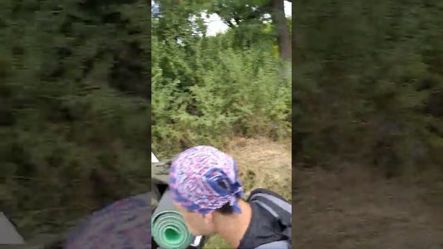 святые ангелы херувимы серафимы и архангелы молите Бога о нас ? смотреть онлайн