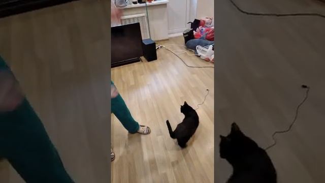 Жёлтый шарфик Света и Перчик / Прыжок смотреть онлайн