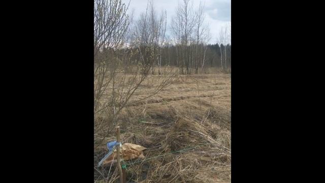 Участок ИЖС в Одинцовском районе смотреть онлайн
