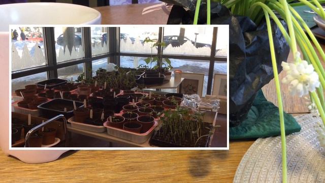 UraJalostAmo+45 NASTA polkuja opintoihin смотреть онлайн