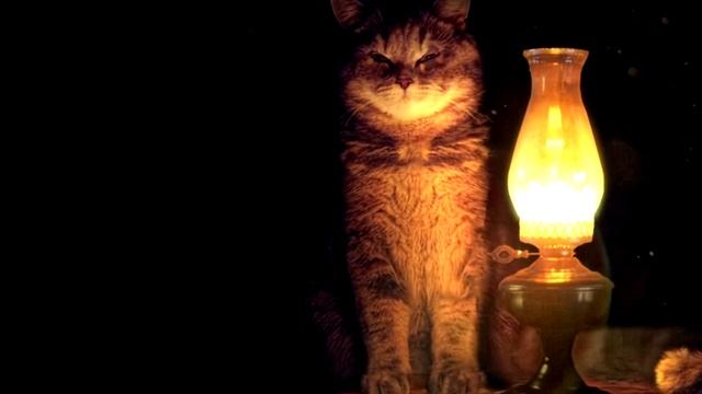 "Если человеку нужно" стих о приоритетах смотреть онлайн