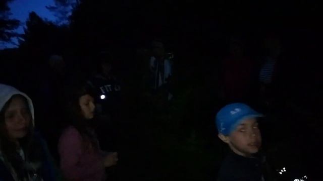 Пока цветёт папоротник смотреть онлайн