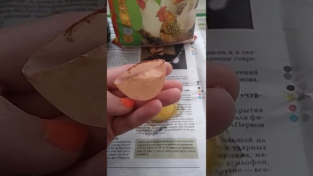 Курица снесла пол яйца????? смотреть онлайн