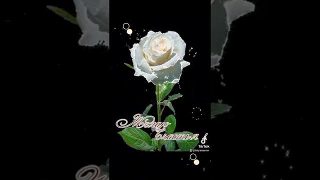 роза Белая моя, смотреть онлайн