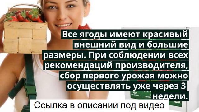 Чудо ягодница сказочный сбор купить - чудо ягодница сказочный сбор – домашняя ягодница. смотреть онлайн