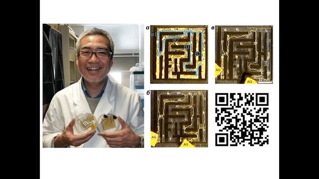 Слизевик Физарум смотреть онлайн