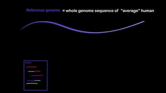 FASTQ, BAM, and VCF file formats easily explained - A must watch if you have had a DNA test смотреть онлайн