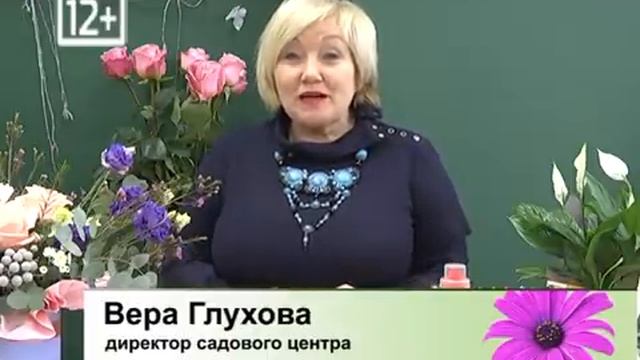 Дачные советы Галины Старосельцевой Январь 28-2021 смотреть онлайн