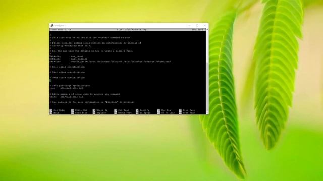 Installing TeamSpeak 3 Server On Debian 9 смотреть онлайн