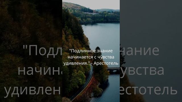 #мудрыеслова #вдохновение #вдохновение #вместеклучшему смотреть онлайн