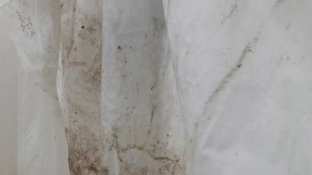 Готовлю теплицу к следующему сезону. Поликарбонат засияет как новый смотреть онлайн