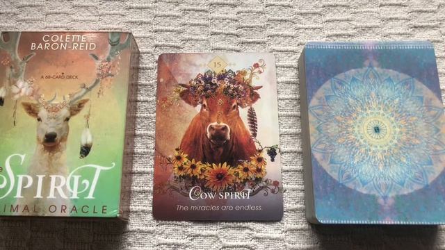 The Spirit Animal Oracle 15/68 Cow guide book audio description смотреть онлайн