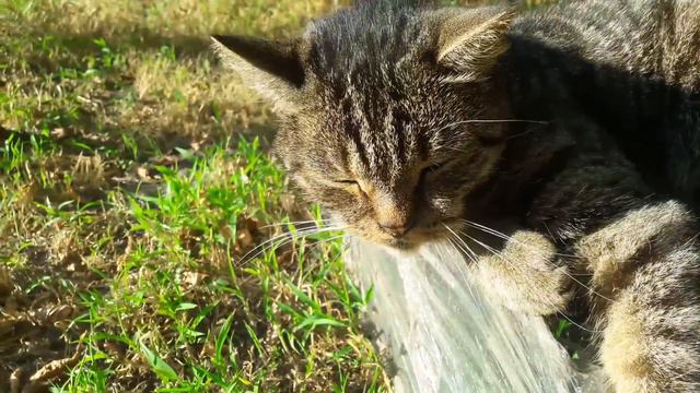 Славянск. 31 августа 2023г. Утро.