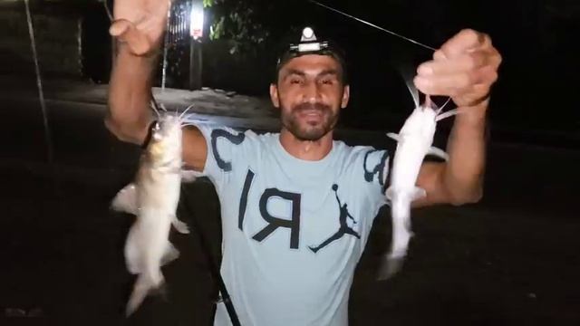 Catch two fish at once from the Nile River смотреть онлайн