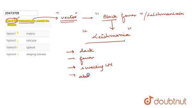 Sand fly (Phlebotomus) transmits the disease: смотреть онлайн