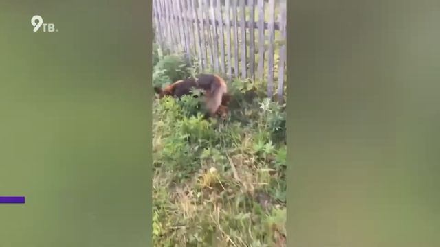 Дачный конфликт смотреть онлайн