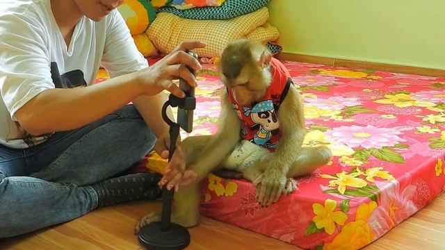 Smart Boy Kako Eats Cake And Watching Smartphone смотреть онлайн