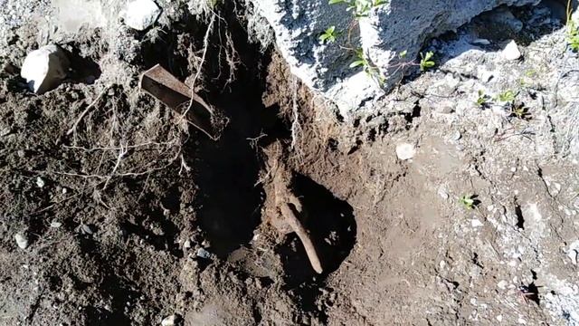 14 000 рублей. Сдали металл. смотреть онлайн