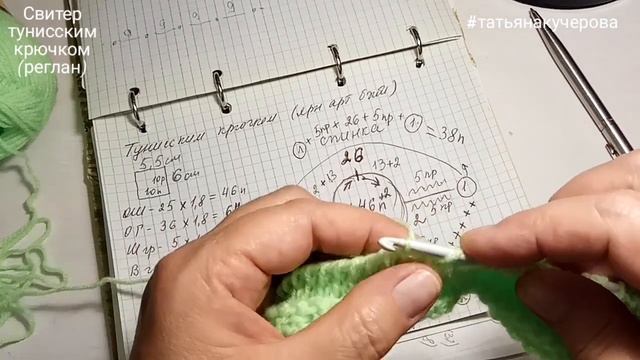 Свитер для собаки и кошки тунисским крючком, Реглан, for dogs tunisian crochet смотреть онлайн