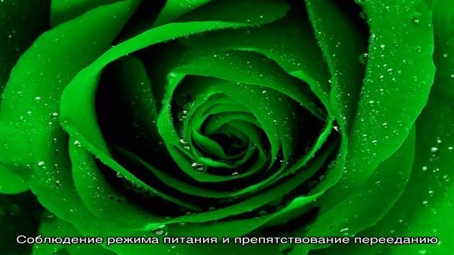 Почему у ребенка зеленый стул и что с этим делать? смотреть онлайн