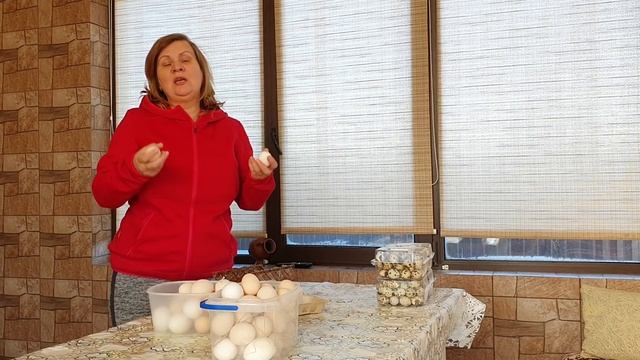 РАСКРЫВАЮ СЕКРЕТ: куры несушки с максимальной яйценоскостью - лучшее для начинающих ЧАСТЬ 1 смотреть онлайн