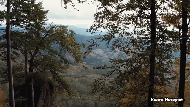 Жена купила старый дом и отправила угасающего мужа в село, а когда привезла к миллионеру нотариуса. смотреть онлайн