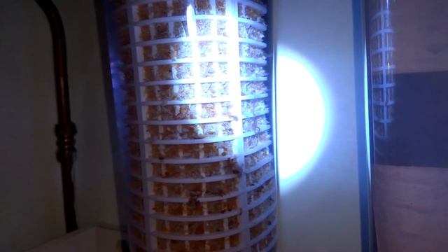 Червяки в питьевой воде Силламяэ 24.11.2017 смотреть онлайн