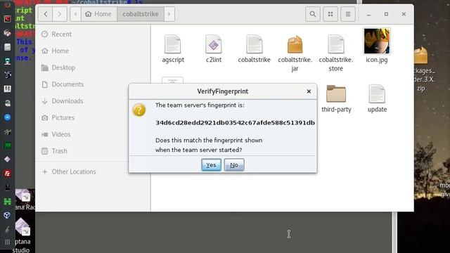 cobaltstike 3.3 cracked смотреть онлайн