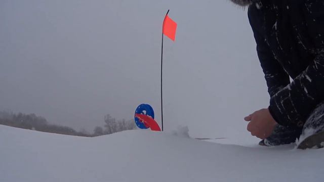 Щука на ЖЕРЛИЦЫ | Илюха Ловит смотреть онлайн