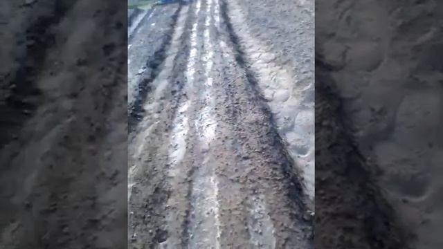 Дачный сезон.Часть третья.Заключительная.