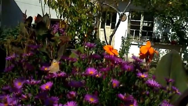 КРАСИВО И СЛАДКО - 2 BEAUTIFUL AND SWEET - 2 смотреть онлайн
