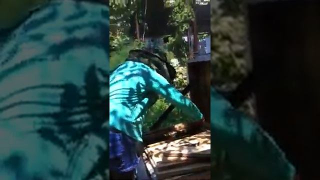 Одиннадцатилетний пчеловод девочка смотреть онлайн