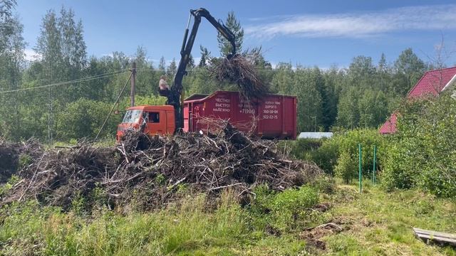 Вывоз Корней 06-07-2023